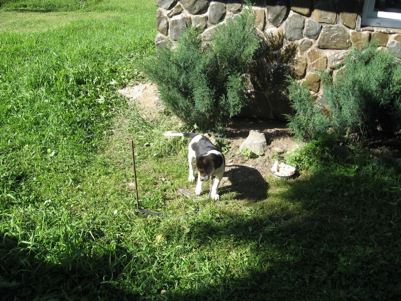 Goverla_2011-08-13_07.jpg
